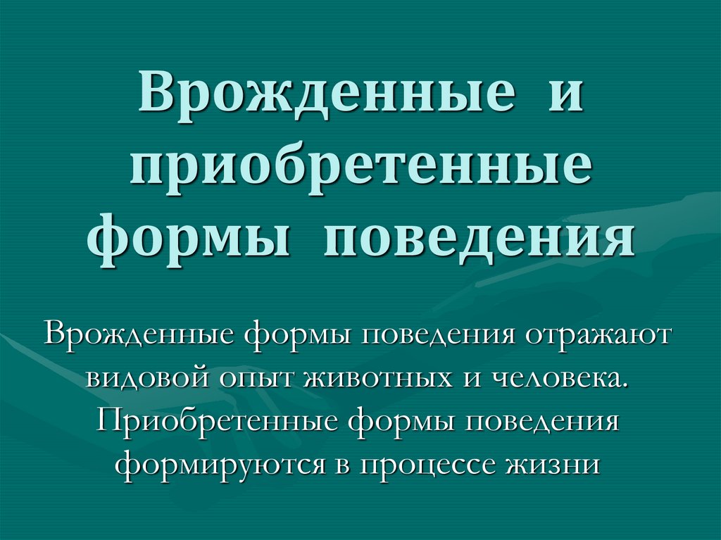 Врожденные формы поведения схема