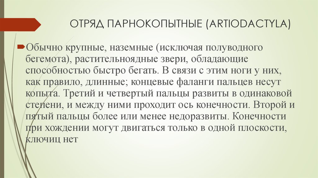 Отряд парнокопытные 7 класс презентация