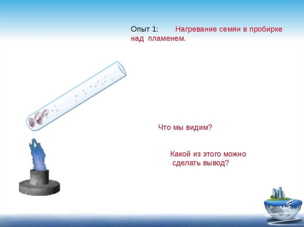 Доказательства опыта. Опыт обнаружение воды. Нагревание пробирки. Опыт обнаружения воды 5 класс. Нагревание семян в пробирке над пламенем.