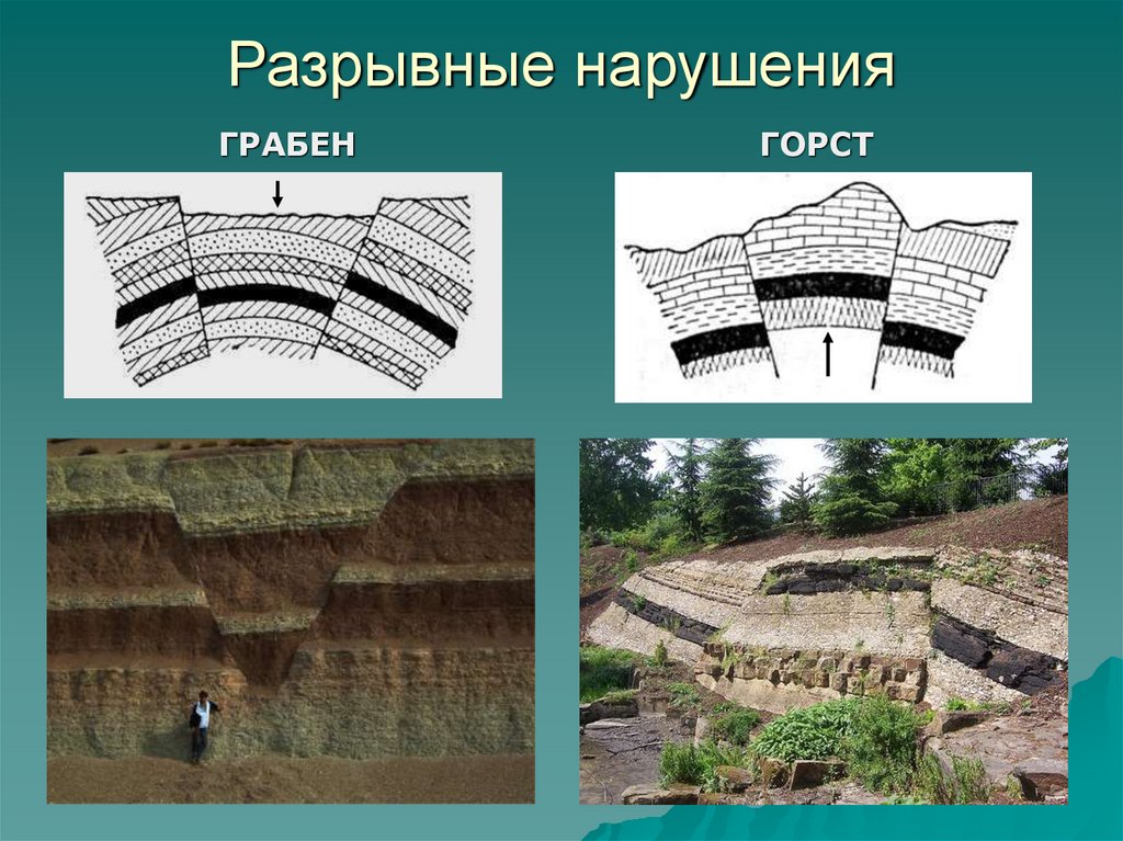 Время залегания горных пород. Разрывные нарушения залегания горных пород. Разрывные нарушения горных пород Горст и Грабен. Глыбовые горы горсты грабены. Формы нарушения залегания горных пород.