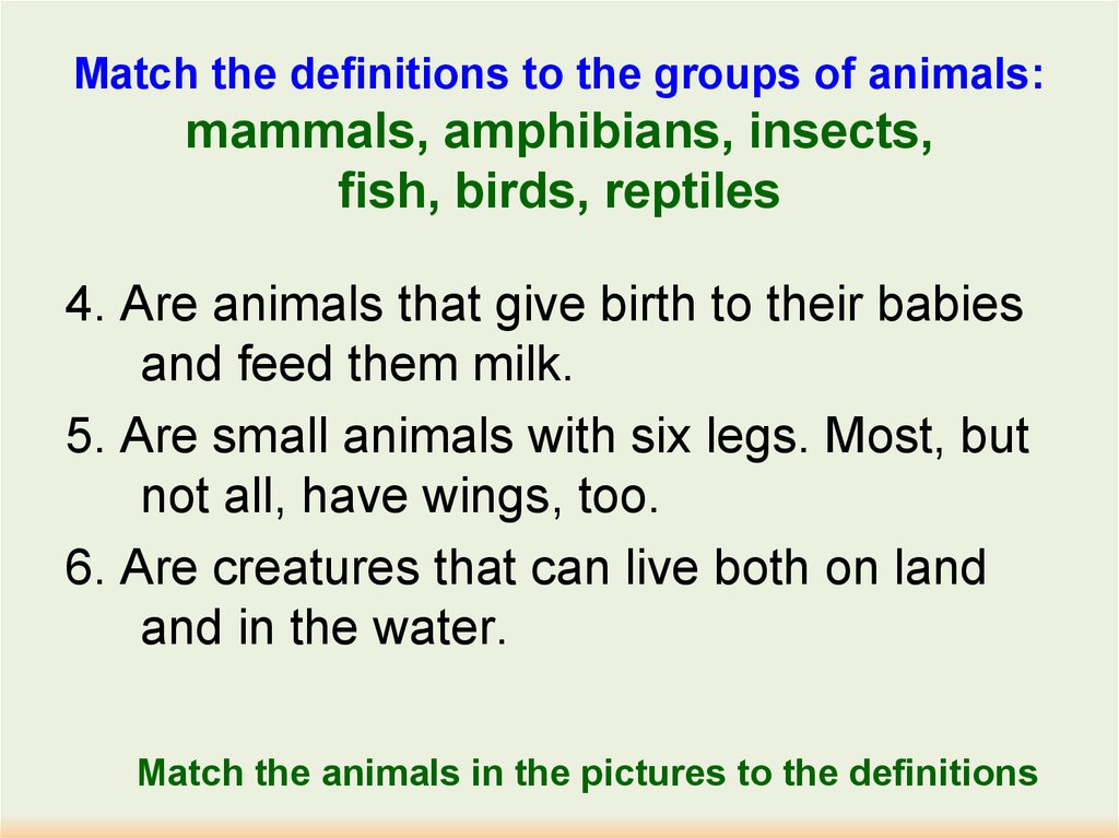 Match the definitions to the groups of animals: mammals, amphibians, insects, fish, birds, reptiles