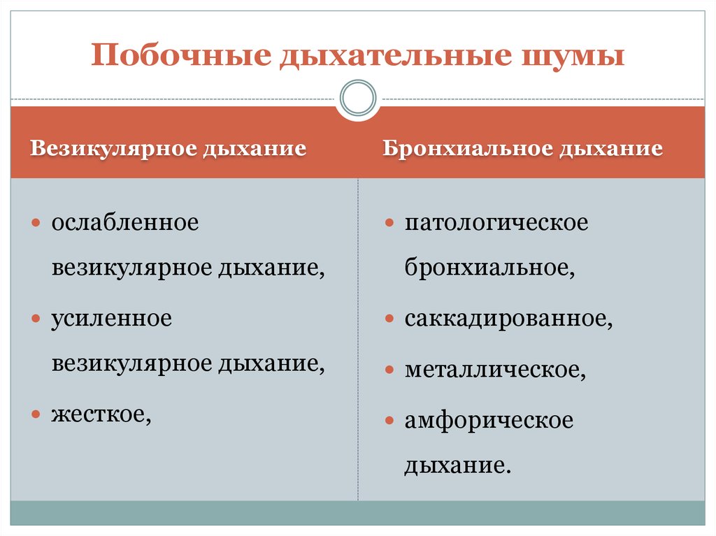 Дыхательные шумы. Поьочныедыхателтные шумы. Полочные дыхательные шумы. Побочные дыхательные шумы. Типы дыхания везикулярное бронхиальное.