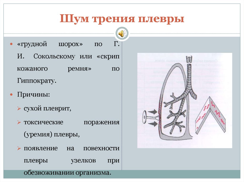 Трение легких. Механизм шума трения плевры. Шум трения плевры причины. Шум трения плевры механизм возникновения. Механизм появления шума трения плевры.