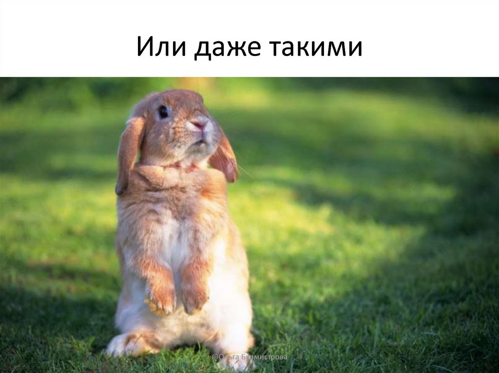 Или даже такими