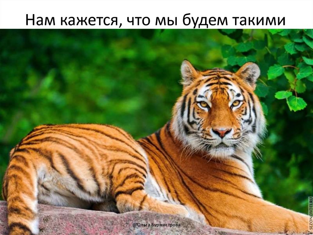 Нам кажется, что мы будем такими