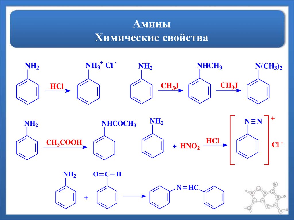 Амины свойства. Ароматические Амины химические свойства. Химические свойства ароматических Аминов. Химические свойства первичных Аминов. Химические свойства вторичных Аминов.