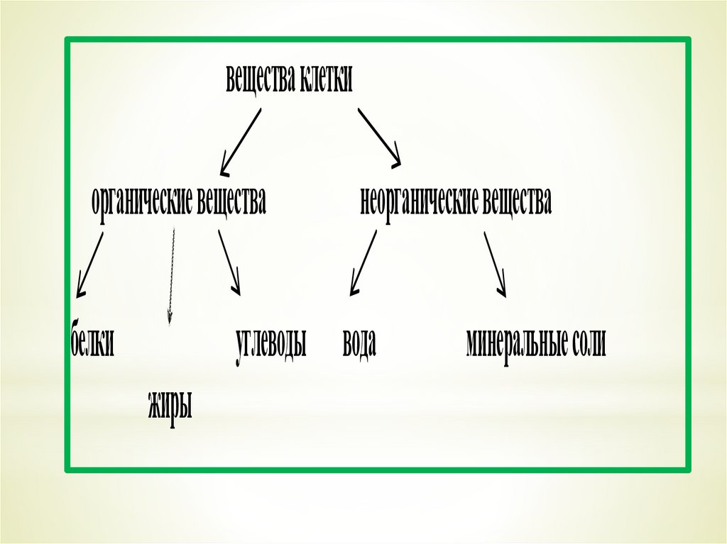 Вещества клетки биология. Схема вещества клетки 5 класс биология. Схема химический состав клетки 5 класс биология. Химический состав клетки 5 класс. Химический состав клетки 5 кл.