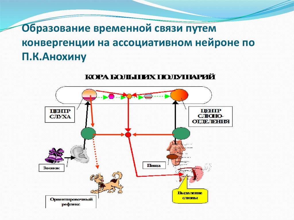 Видо временная связь