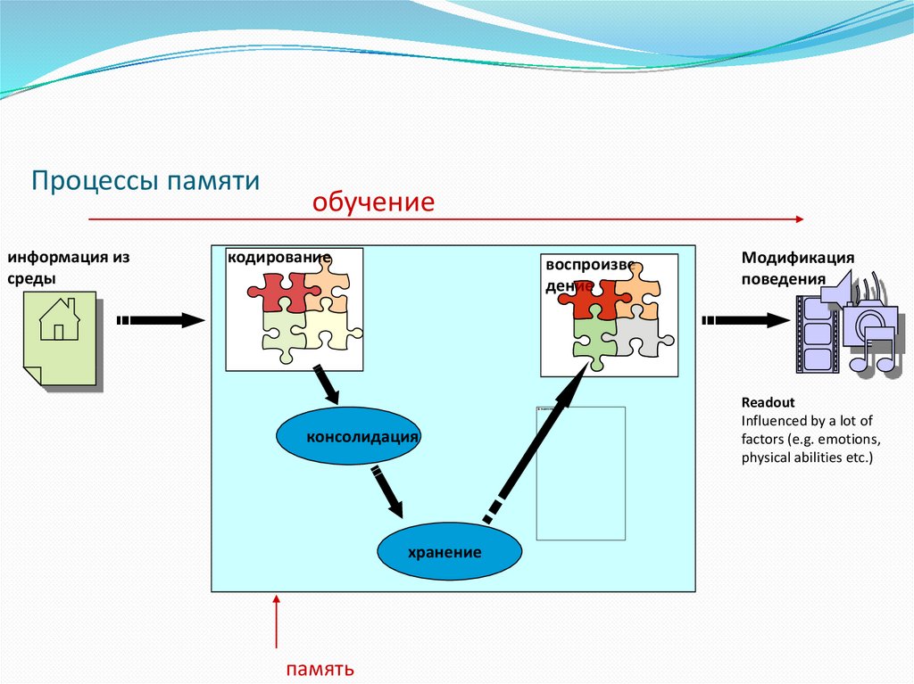 4 процесса памяти