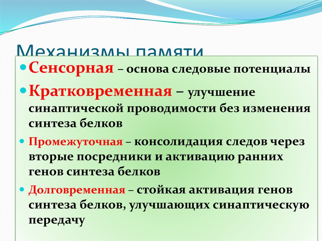 Периоды запоминания