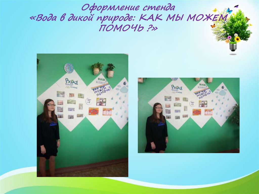 Оформление стенда «Вода в дикой природе: КАК МЫ МОЖЕМ ПОМОЧЬ ?»