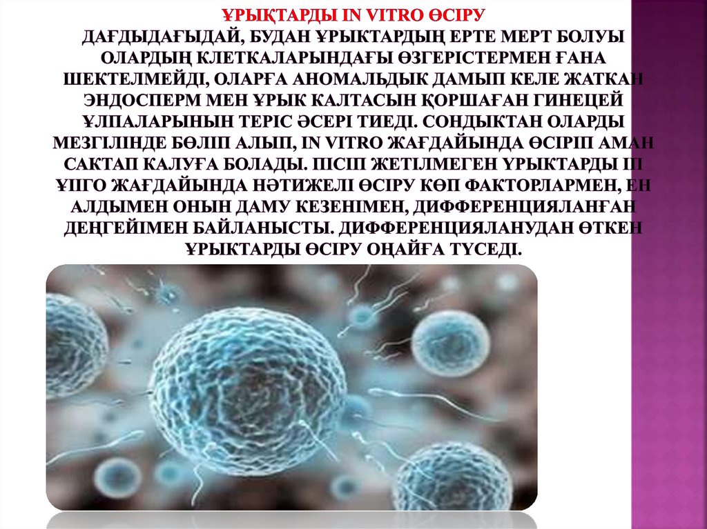 Ұрықтарды in vitro өсіру Дағдыдағыдай, будан ұрыктардың ерте мерт болуы олардың клеткаларындағы өзгерістермен ғана шектелмейді,