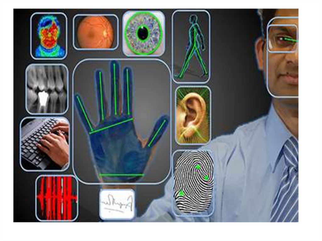 Биометрическая защита данных презентация