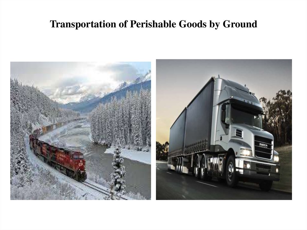 Transportation of Perishable Goods by Ground