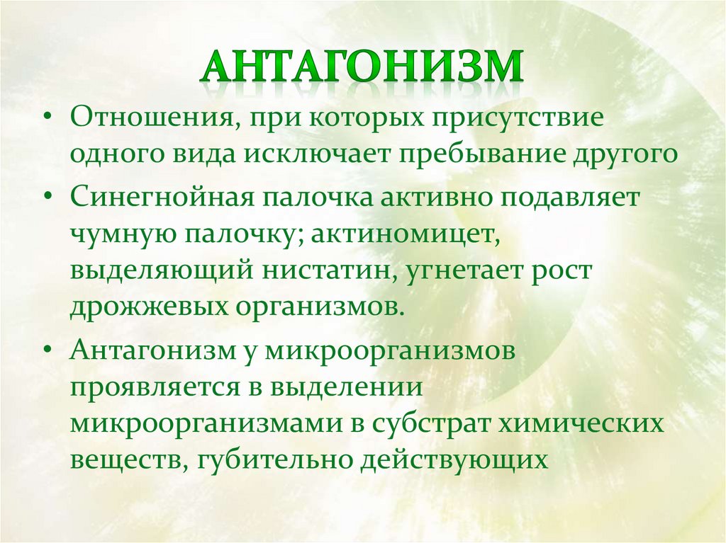 Микробного антагонизма схема