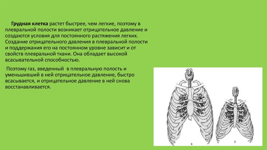 Возрастные особенности дыхательной системы презентация