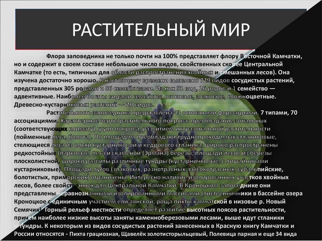 РАСТИТЕЛЬНЫЙ МИР
