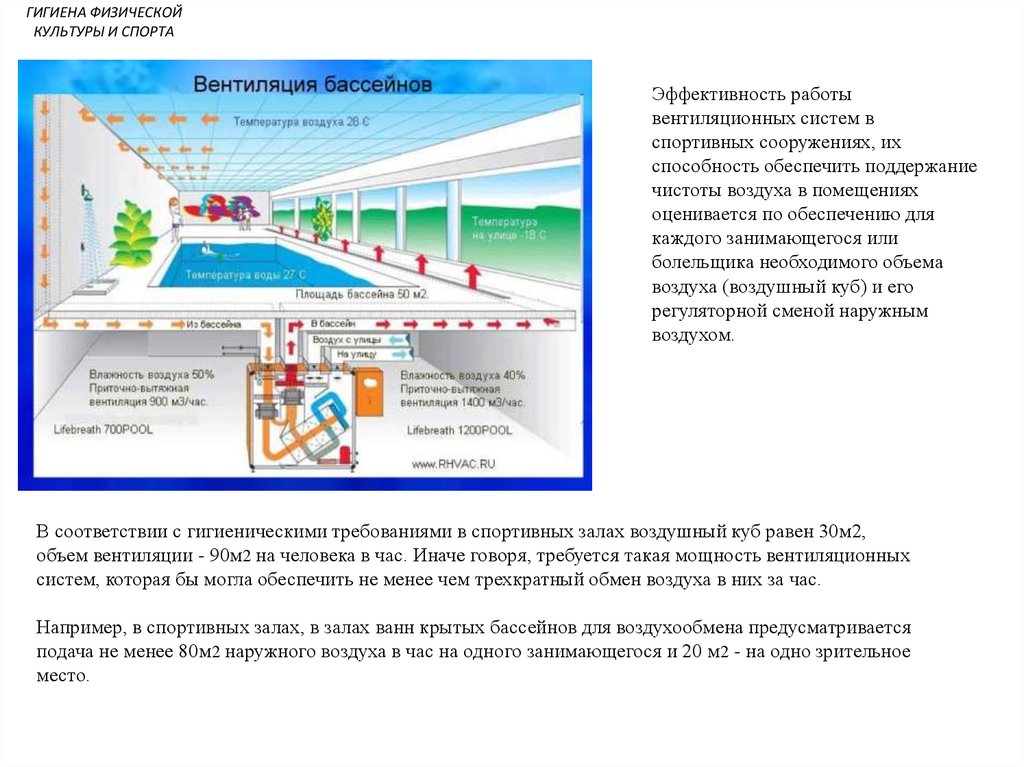 Гигиена физической культуры и спорта презентация