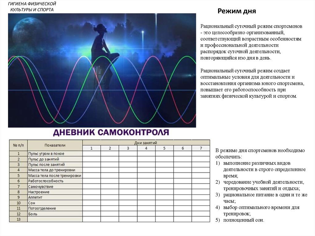 Рациональный суточный режим презентация