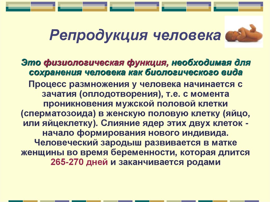 Репродукция особенности. Особенности репродукции человека. Процесс репродукции. Биологические особенности репродукции человека. Биологические аспекты репродукции человека.