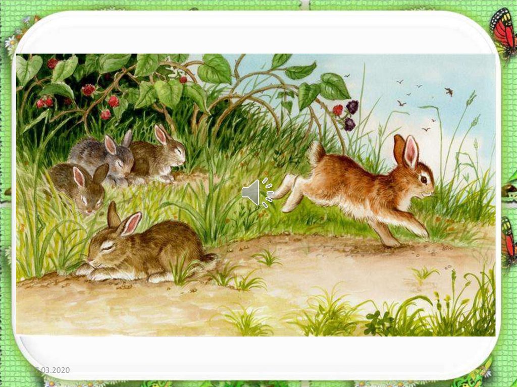 Развитие речи зайцы старшая группа. Зайчик в лесу для детей. Заяц картина. Зайцы на Поляне. Заяц с зайчонком.