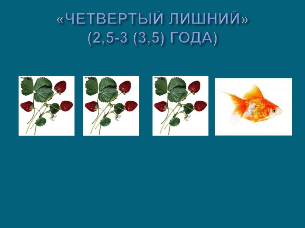 «ЧЕТВЕРТЫЙ ЛИШНИЙ» (2,5-3 (3,5) ГОДА)