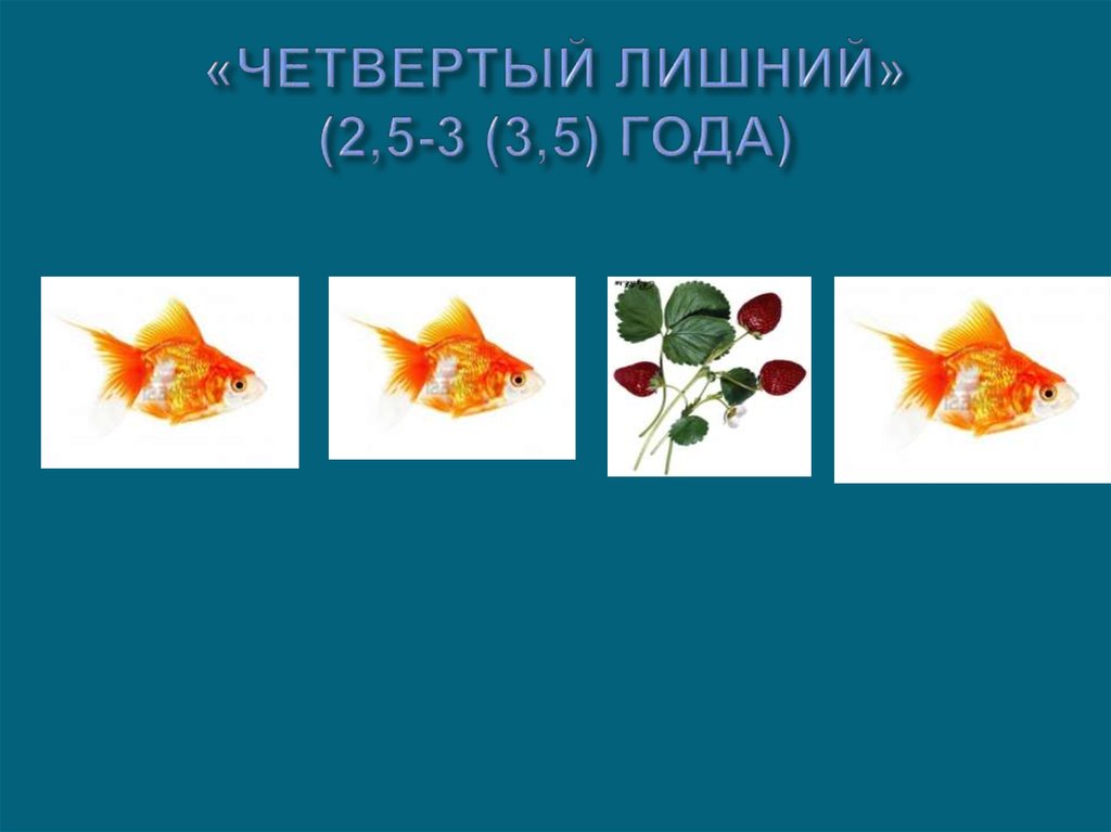 «ЧЕТВЕРТЫЙ ЛИШНИЙ» (2,5-3 (3,5) ГОДА)
