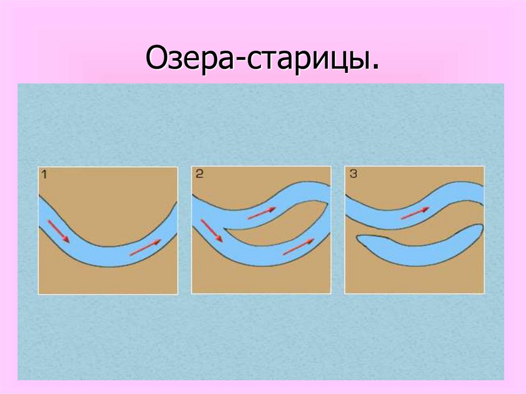 Озеро старица новосибирск. Озеро Старица. Старица реки схема. Происхождение озера старицы. Озеро Старица схема.