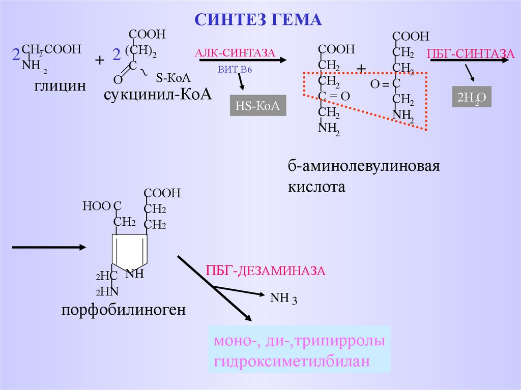 Синтез 2. Общая схема синтеза гема. Регуляторные ферменты синтеза гема. Аминолевулинат синтаза. Синтез гема биохимия.