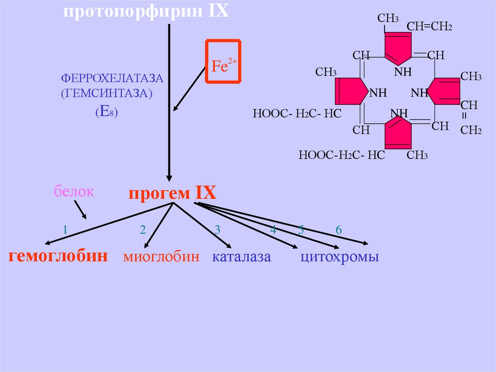 Протопорфирин. Строение протопорфирина IX. Синтез протопорфирина 9. Структура протопорфирина 9. Протопорфирин IX распадается.