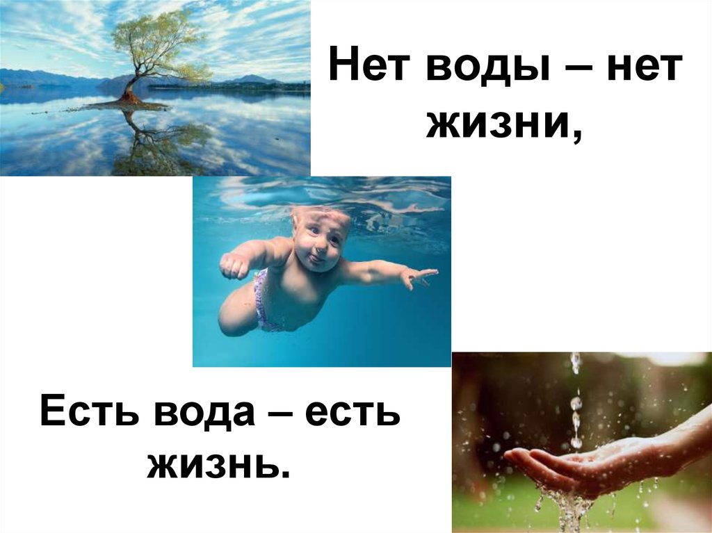 Вода есть жизнь. Нет воды нет жизни. Вода есть вода. Все есть вода. Картинки хорошо что есть вода.