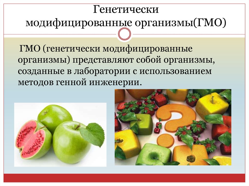 Проект генно модифицированные продукты