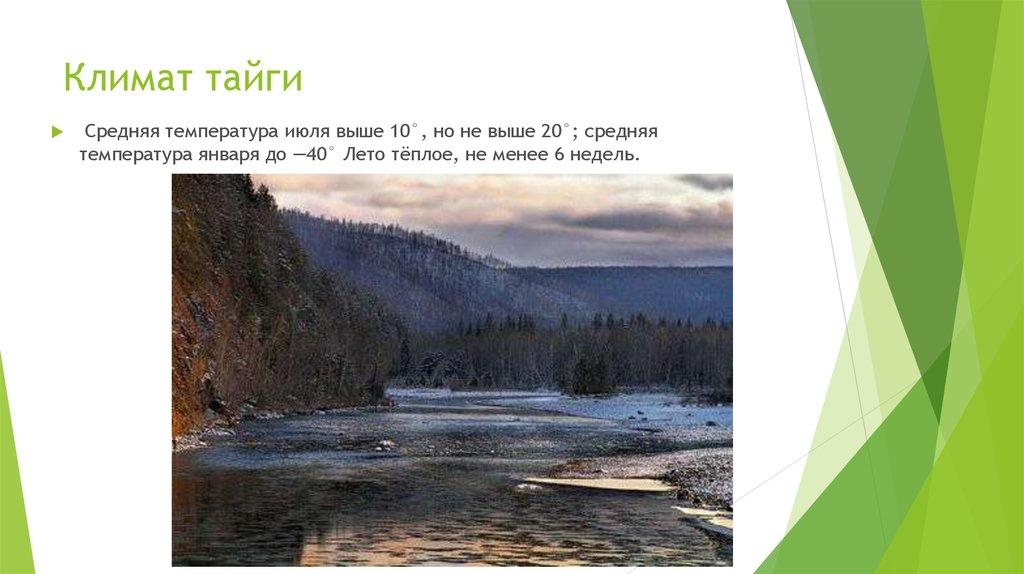 Лесные зоны воды. Климат тайги. Климатические условия тайги. Климат тайги в России. Климат условия тайги.