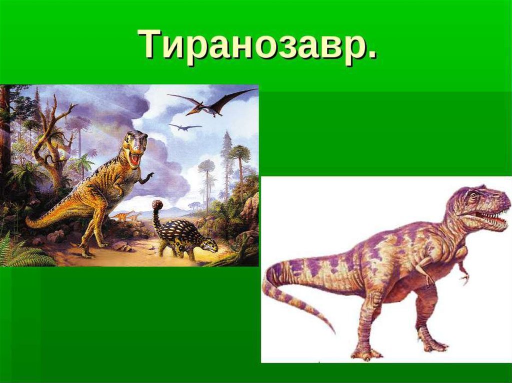 Динозавры.Древние рептилии - Биология - Презентации - 2 класс