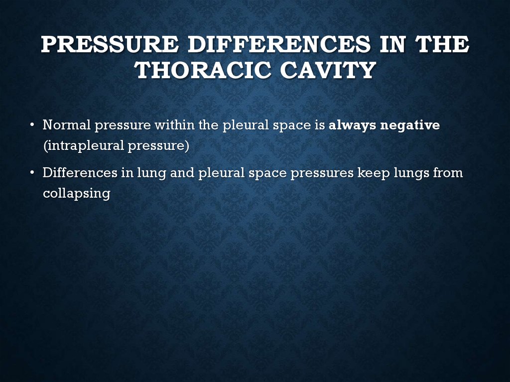 Pressure Differences in the Thoracic Cavity