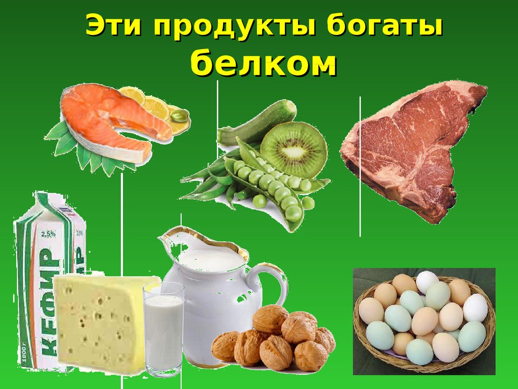 Белки обеспечивают. Белок в продуктах. Продукты богатые белками. Продукты которые богаты белком. Продукты обогащенные белком.