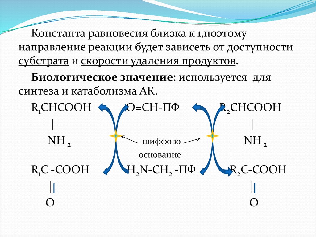 Строение и свойства аминокислот. Функции аминокислот. Биологические функции аминокислот. Гликогенные аминокислоты. Образование шиффовых оснований.
