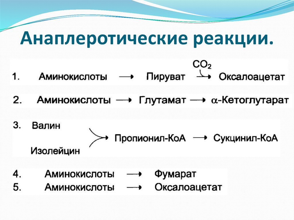 Биологические функции аминокислот