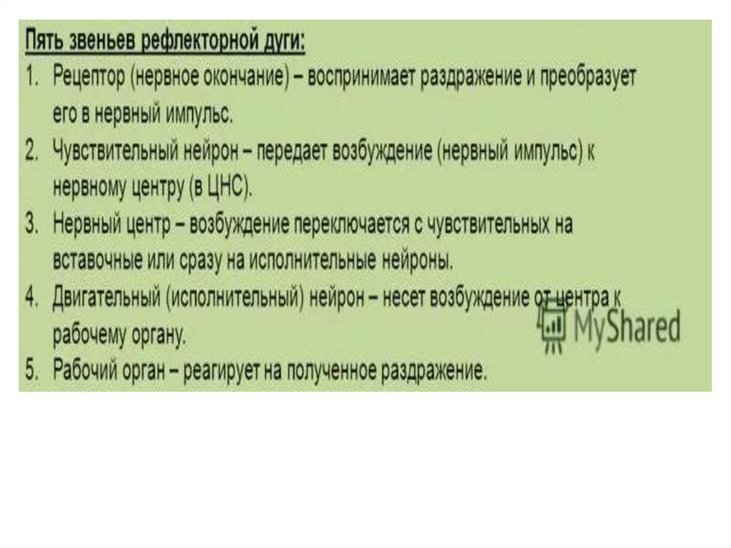 Рефлекторная теория поведения презентация 8 класс