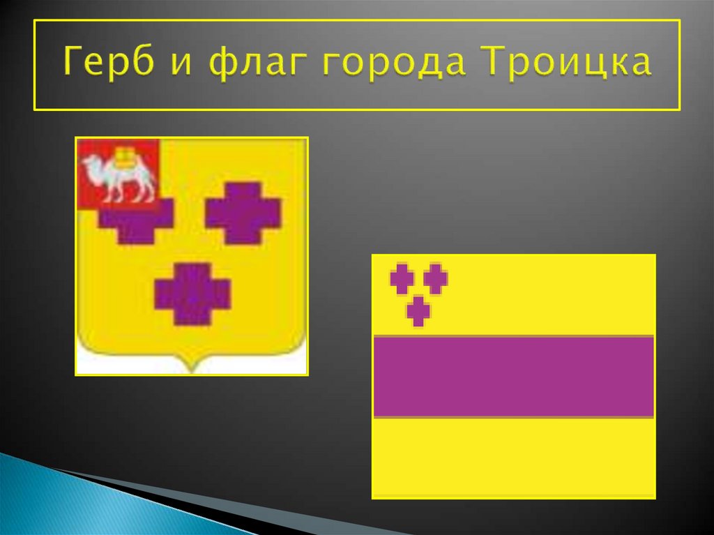 Герб и флаг города Троицка