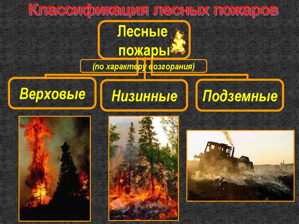 Характеристика лесных пожаров обж. Пожары по характеру. Виды лесных пожаров. Классификация пожаров по характеру возгорания. Виды пожаров на открытом пространстве.
