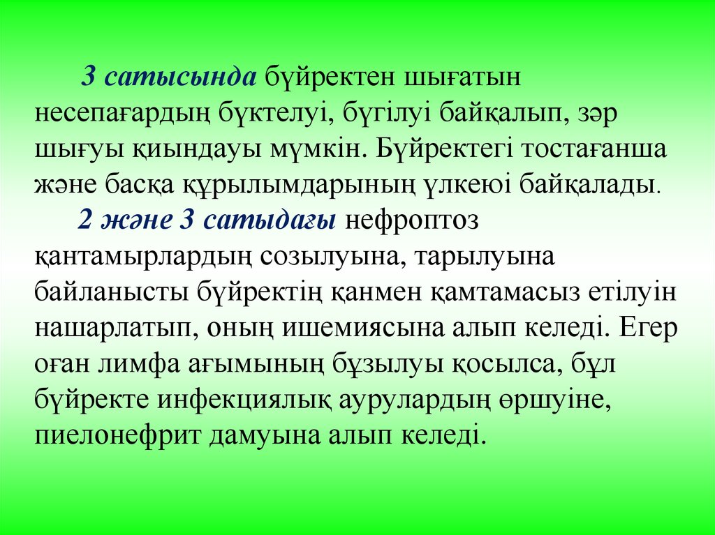 Презентация по краеведению 6 класс