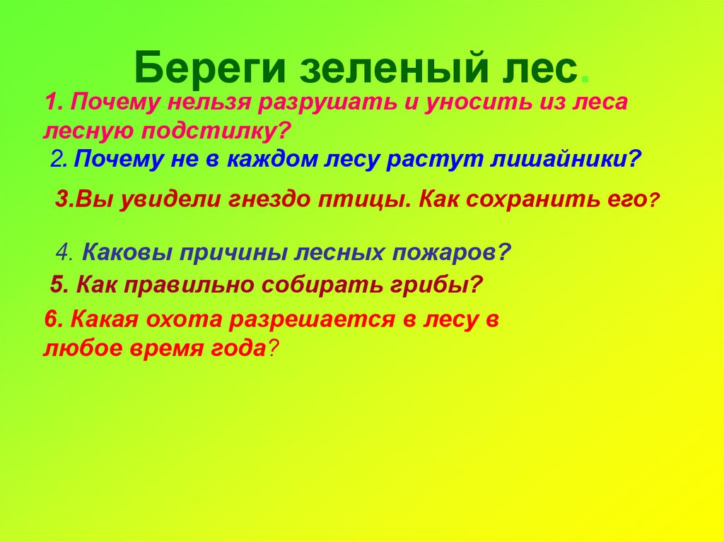 Берегите зелен. Почему нельзя уничтожать лес. Текст почему нельзя уничтожать лес. Почему лес зеленое золото. Почему нельзя уничтожать лес сочинение.