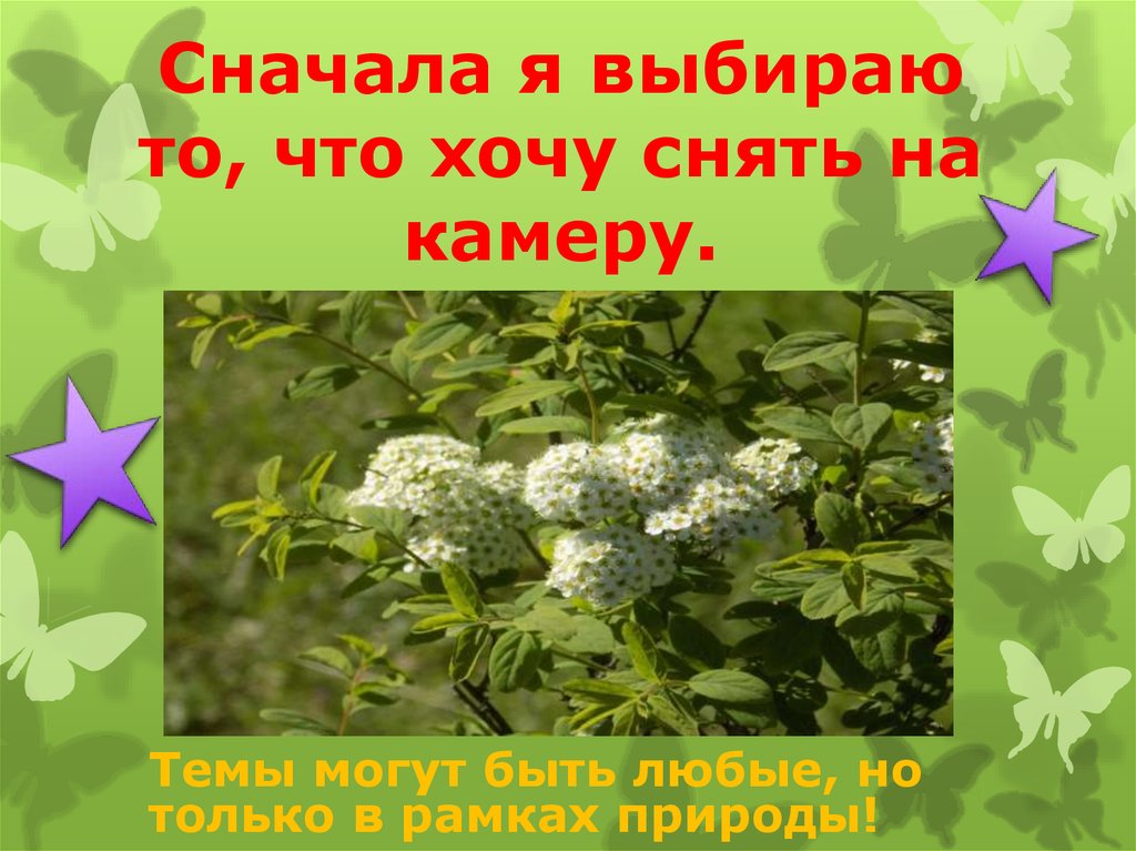 Сначала я выбираю то, что хочу снять на камеру.