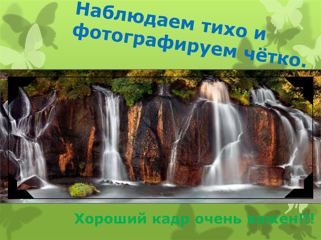 Наблюдаем тихо и фотографируем чётко.