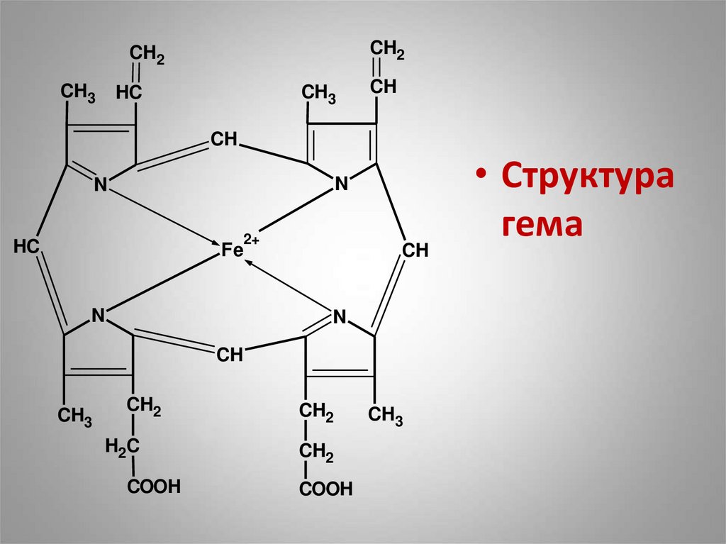 Схема синтеза гема биохимия