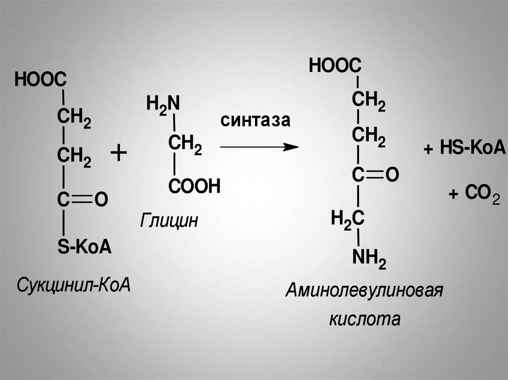 Hooc ch. Синтез гема из сукцинил КОА. Синтез и распад гема. Сукцинил КОА синтаза. Аминолевулиновая кислота Синтез.