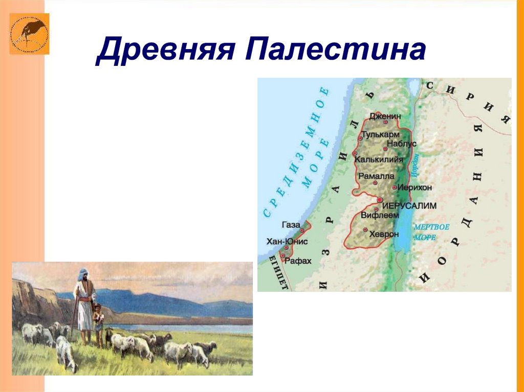 Климат в древней палестине