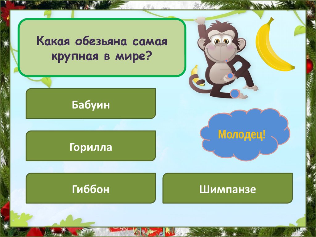 Шимпанзе подобрать прилагательное. Род шимпанзе в русском. Обезьяна какой род. Какого рода слово шимпанзе. К какому роду относятся обезьяны.