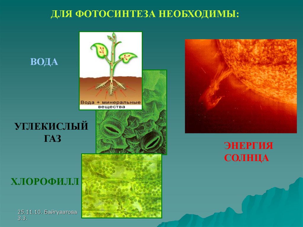 Происходит в корнях растения фотосинтез. Для фотосинтеза необходимы. Вода необходима для фотосинтеза. Хлорофилл необходим для фотосинтеза. Вещество необходимое для фотосинтеза.